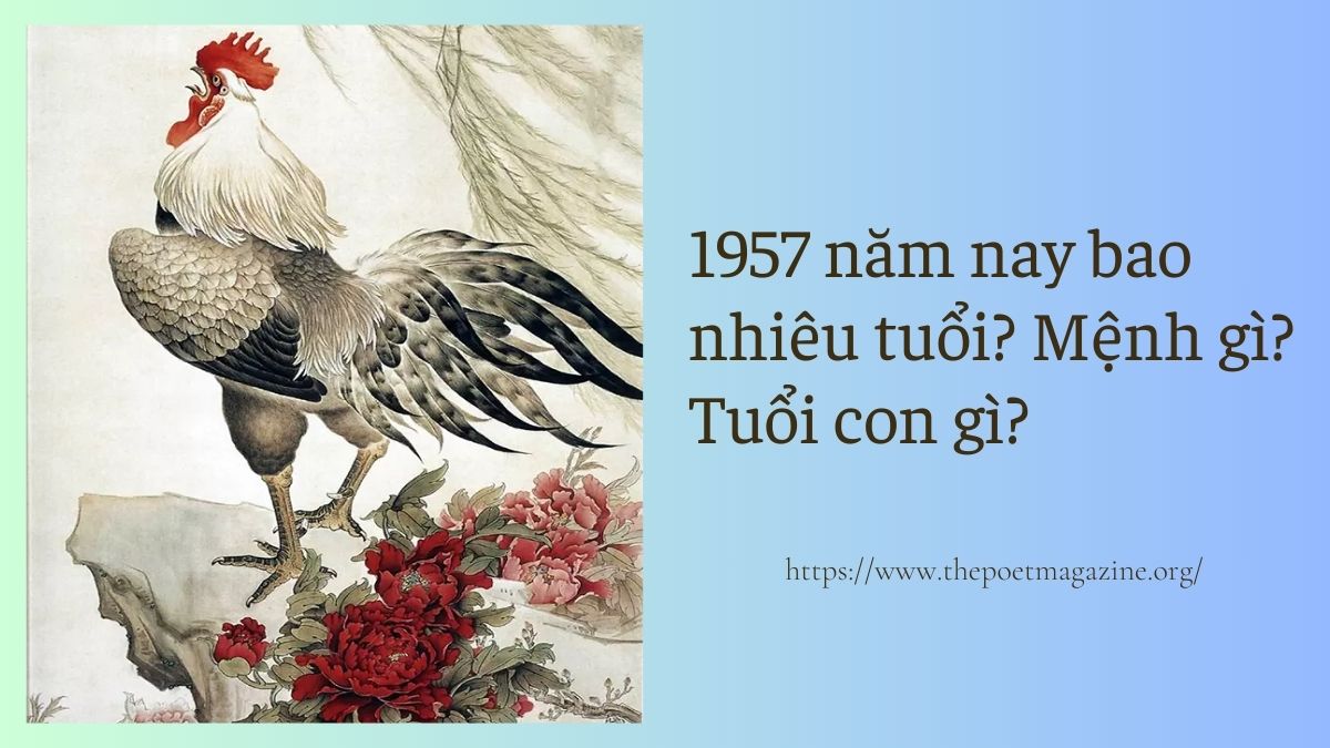 1957 năm nay bao nhiêu tuổi? Thuộc mệnh gì? Tuổi con gì?