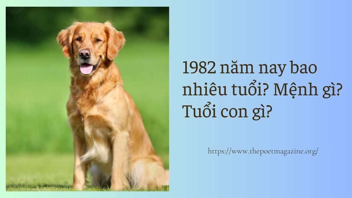 1982 năm nay bao nhiêu tuổi theo lịch âm, dương chính xác