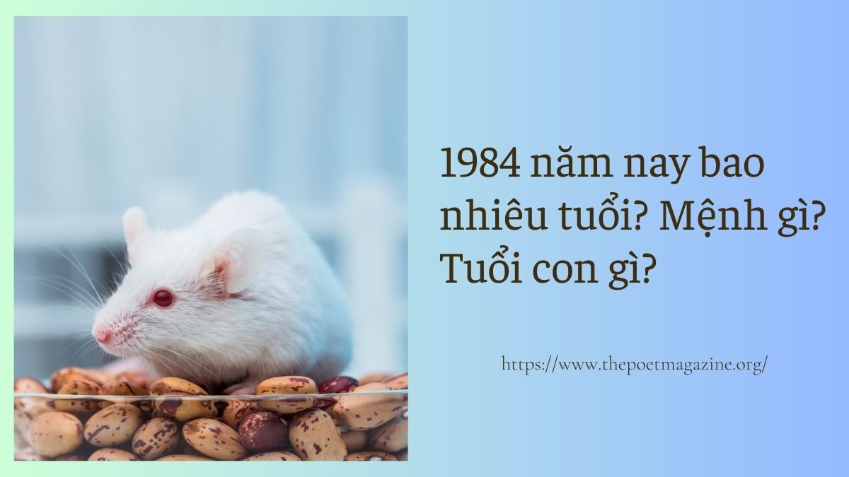 1984 năm nay bao nhiêu tuổi? Xem cung mệnh, màu sắc, số đẹp