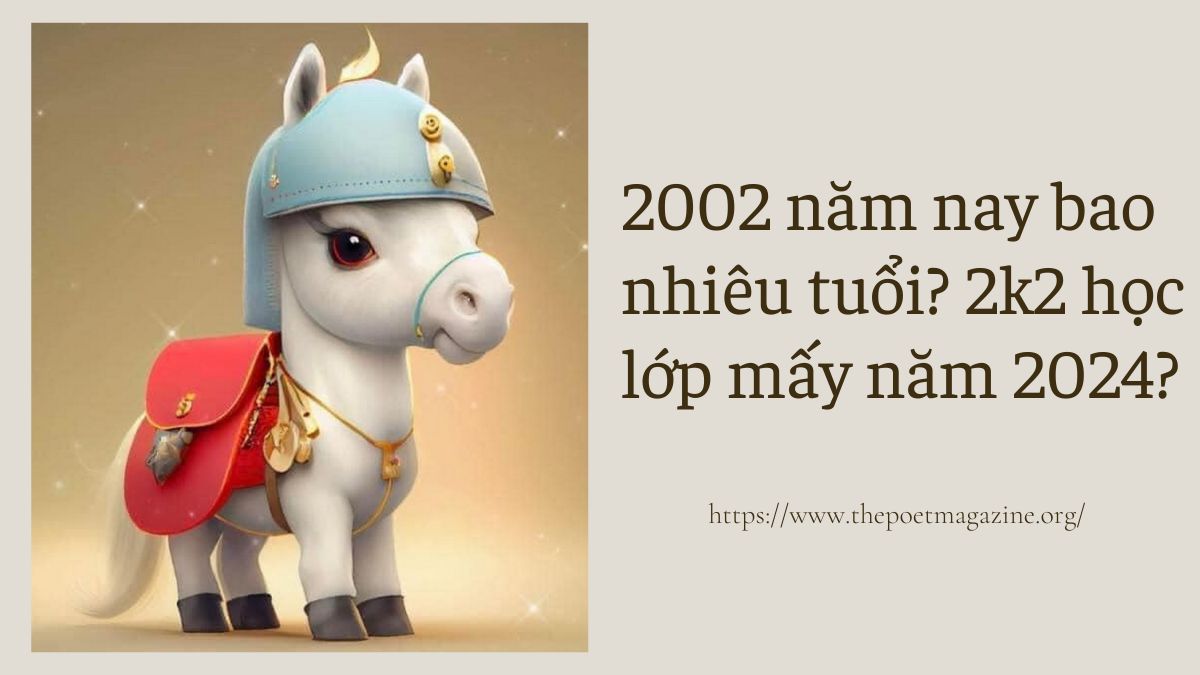 2002 bao nhiêu tuổi? năm 2024 học lớp mấy?