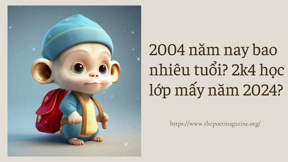 2004 năm nay bao nhiêu tuổi? 2k4 học lớp 1, 6, 9, 12 năm mấy?