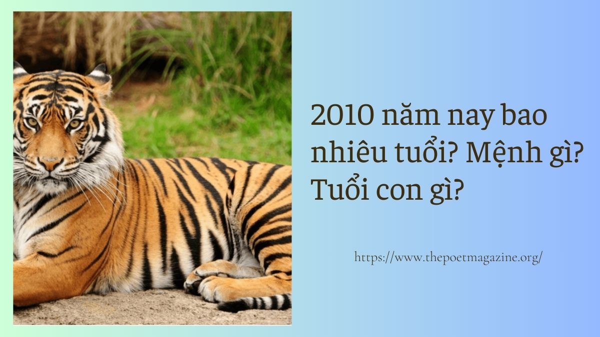 2010 năm nay bao nhiêu tuổi? Thuộc cung gì, mệnh gì, hợp số nào?