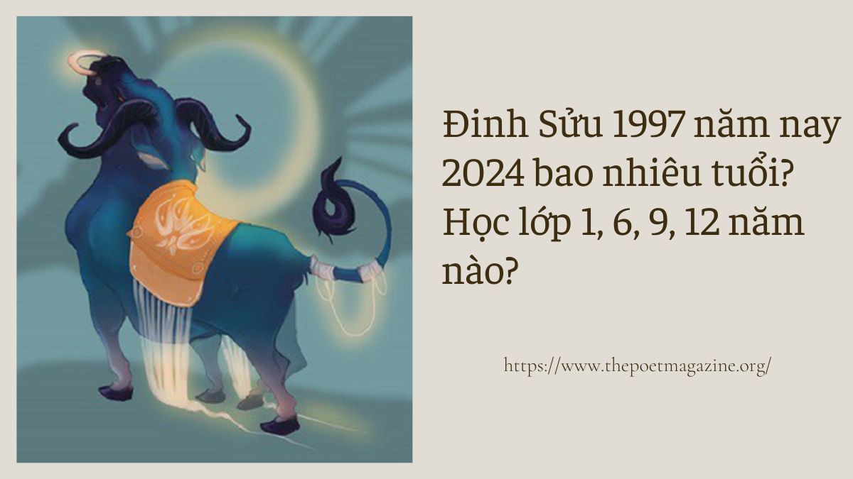 Đinh Sửu 1997 năm nay bao nhiêu tuổi? Học lớp 1, 6, 9, 12 năm nào?