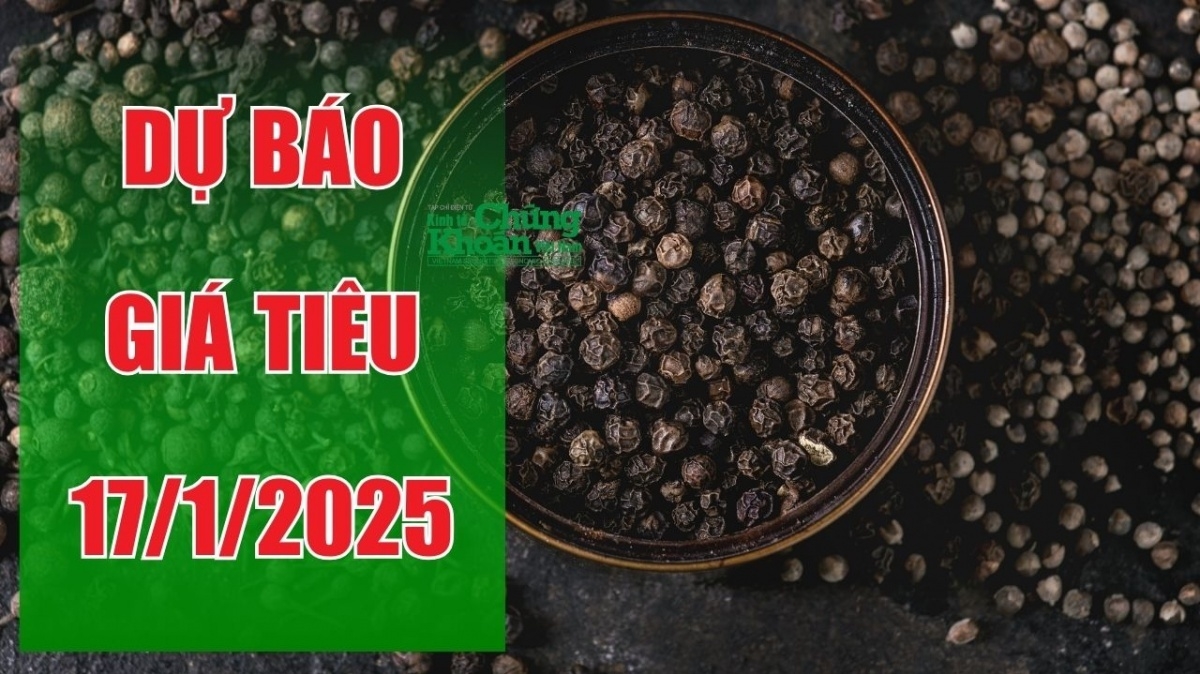 Dự báo giá tiêu ngày 17/1/2025: Thị trường sẽ tiếp tục sắc đỏ?