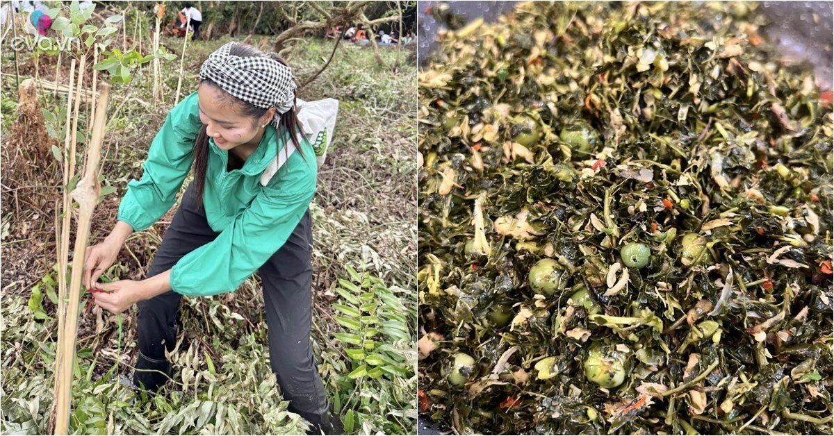 Hoa hậu giản dị nhất Việt Nam nhận thùng hàng toàn đặc sản, liền lao vào bếp làm món núi rừng