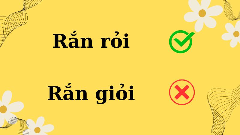 Rắn giỏi hay rắn rỏi