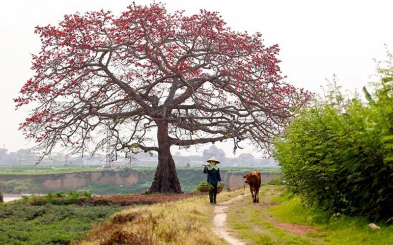 thơ thiên nhiên