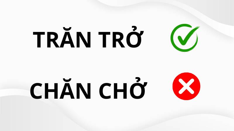 Trăn trở hay chăn chở