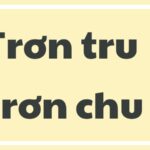 Trơn tru hay trơn chu đâu là từ đúng chính tả