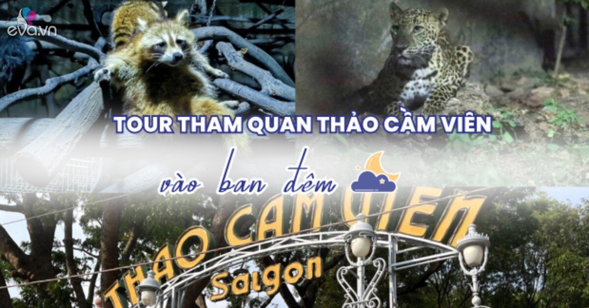 Thảo Cầm Viên bất ngờ mở tour tham quan động vật về đêm, ngắm nhìn muôn thú sinh hoạt, giá vé thế nào?