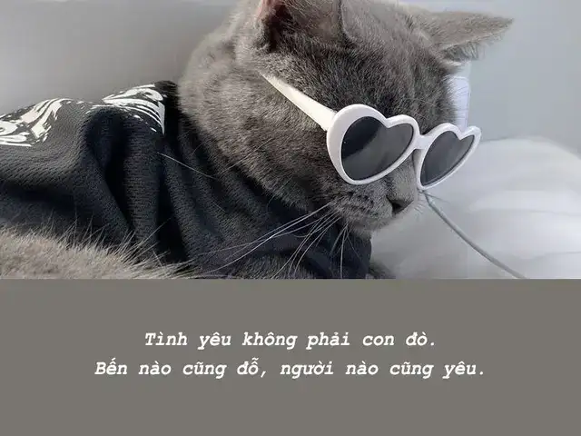 100 câu nói phũ nhưng thấm 100 câu nói phũ nhưng thấm