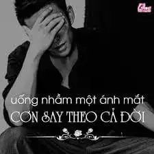 những câu nói hay khi say