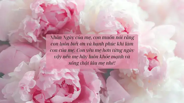 những câu nói hay chúc mừng ngày của mẹ