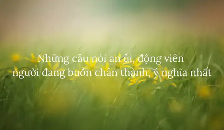 những câu nói hay cho người đang buồn