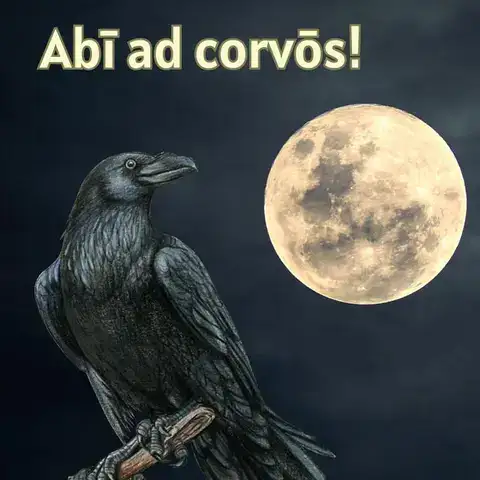 những câu nói hay bằng tiếng latin