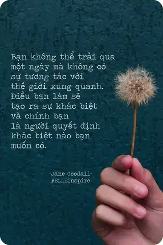 những câu nói bảo vệ lgbt