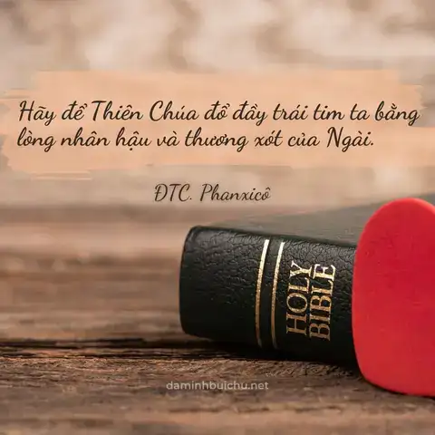 câu nói về lòng thương người