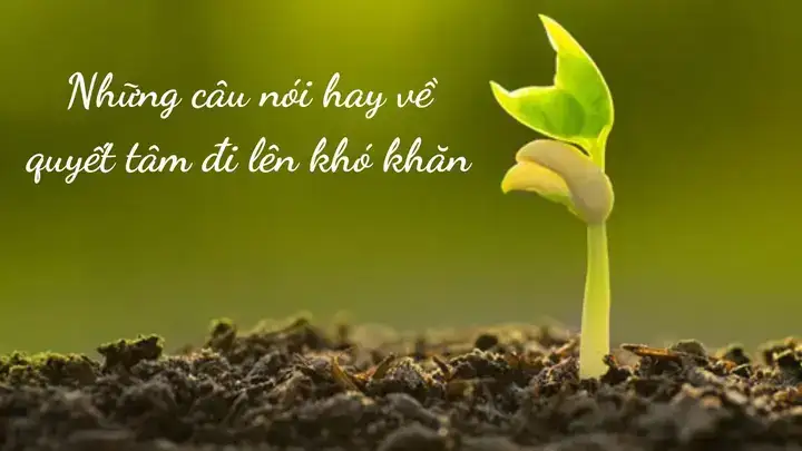 câu nói quyết tâm