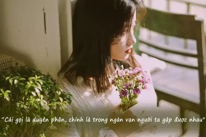 câu nói hay về tuổi 23