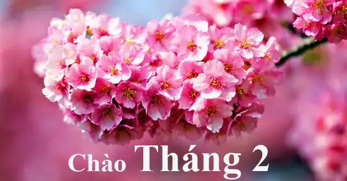 câu nói hay về tháng 2