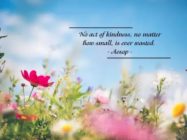 câu nói hay về sự tinh tế