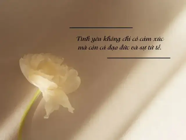 câu nói hay về sự tinh tế