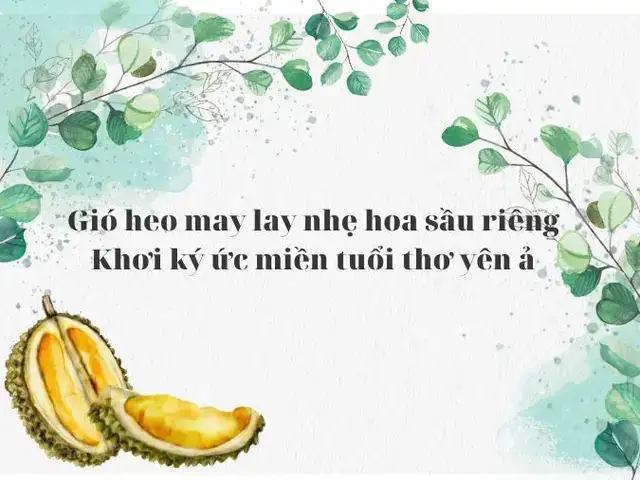 câu nói hay về sầu riêng