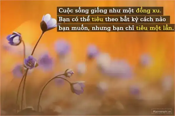 câu nói hay về cuộc sống muôn màu câu nói hay về cuộc sống muôn màu