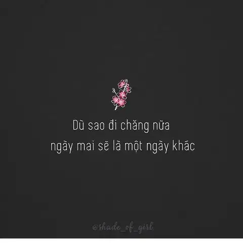 câu nói hay về cuộc sống bon chen