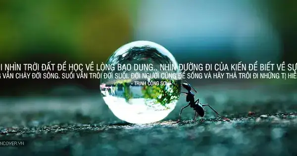 câu nói hay về bia