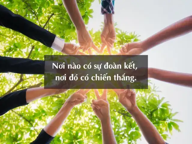 câu nói hay về teamwork