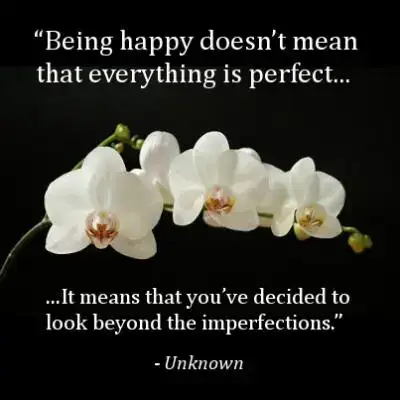 câu nói hay về hoa lan câu nói hay về hoa lan