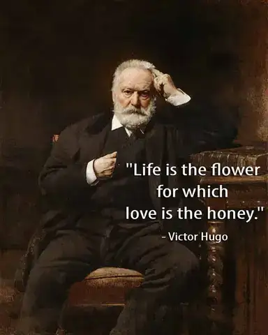 câu nói hay của victor hugo