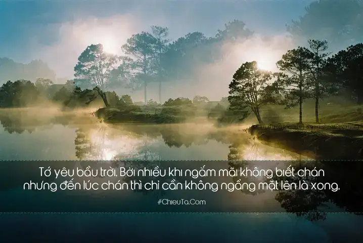 câu nói hay về mặt trời