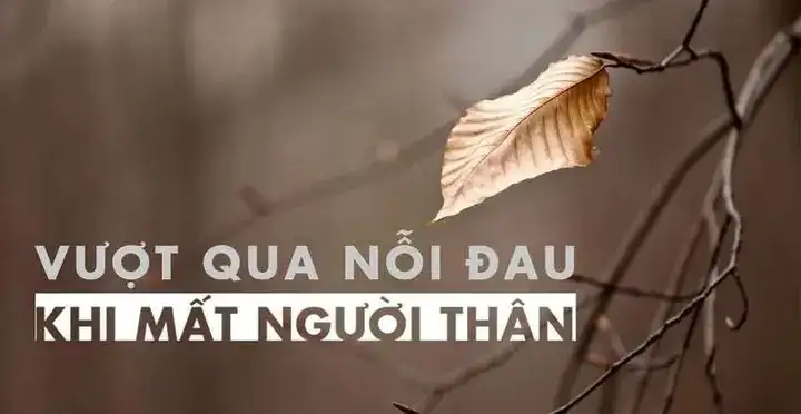 câu nói hay về sự mất mát