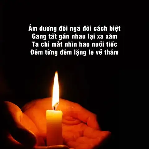 câu nói hay về sự mất mát