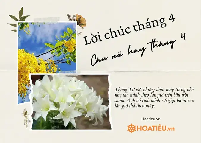 những câu nói hay về tháng 4
