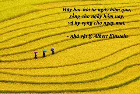 những câu nói hay về ngày mai