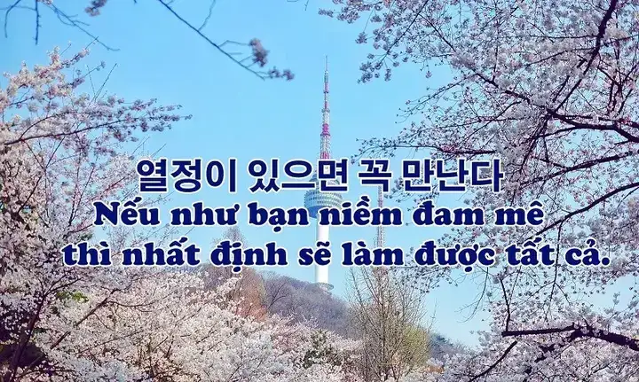 những câu nói buồn tiếng hàn