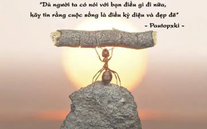 những câu nói tiếp thêm năng lượng