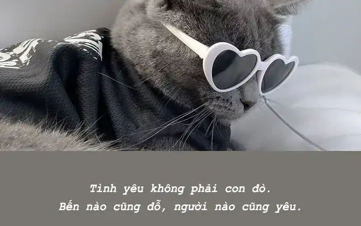 những câu nói phủ phàng trong tình yêu