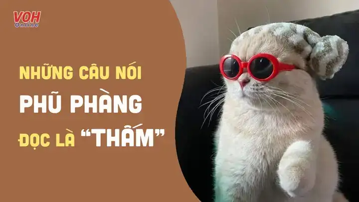 những câu nói phủ phàng trong tình yêu