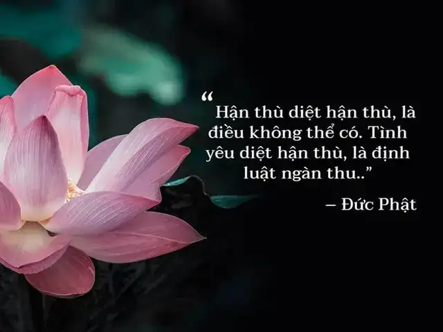 hình ảnh phật và những câu nói hay