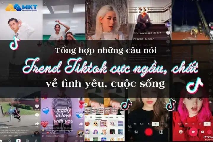 những câu nói ngầu trên tik tok