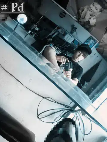 hãy cho em thêm một câu nói