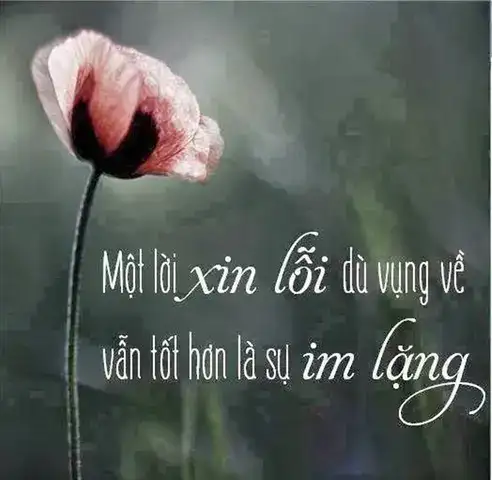 những câu nói xin lỗi