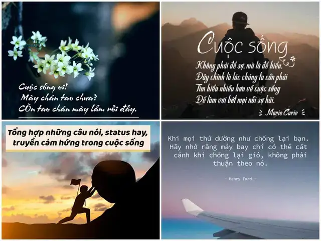 những câu nói hay khen chồng