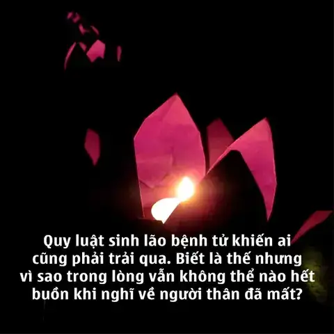 những câu nói hay về người đã mất