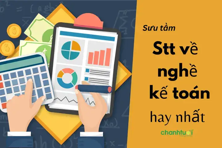 những câu nói hay về nghề kế toán