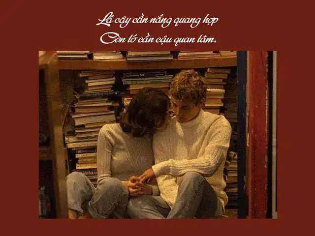 những câu nói về sự quan tâm